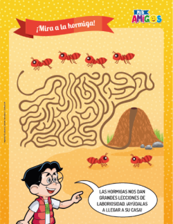 ¡Mira a la hormiga!